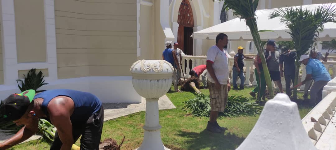 Porno De Enanos Birgen - Establecidos 26 chaguaramos enanos en la BasÃ­lica Nuestra SeÃ±ora del Valle  en Nueva Esparta â€“ Minec