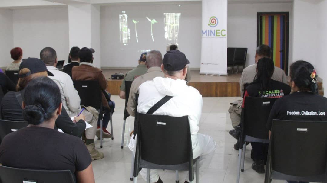“La genialidad de los árboles” se proyectó en los martes de cineforo