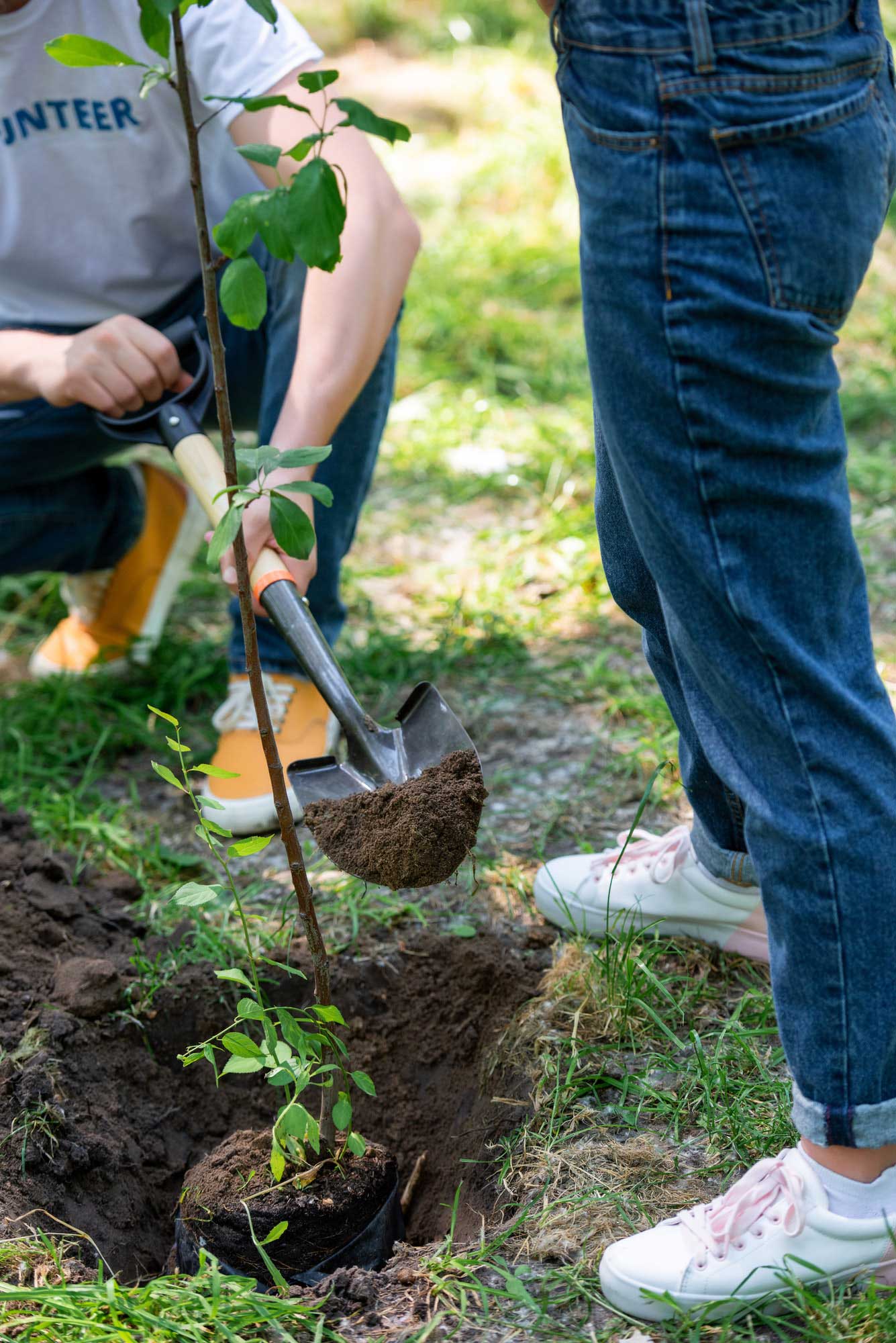 cropped-view-of-couple-planting-tree-with-shovel-1