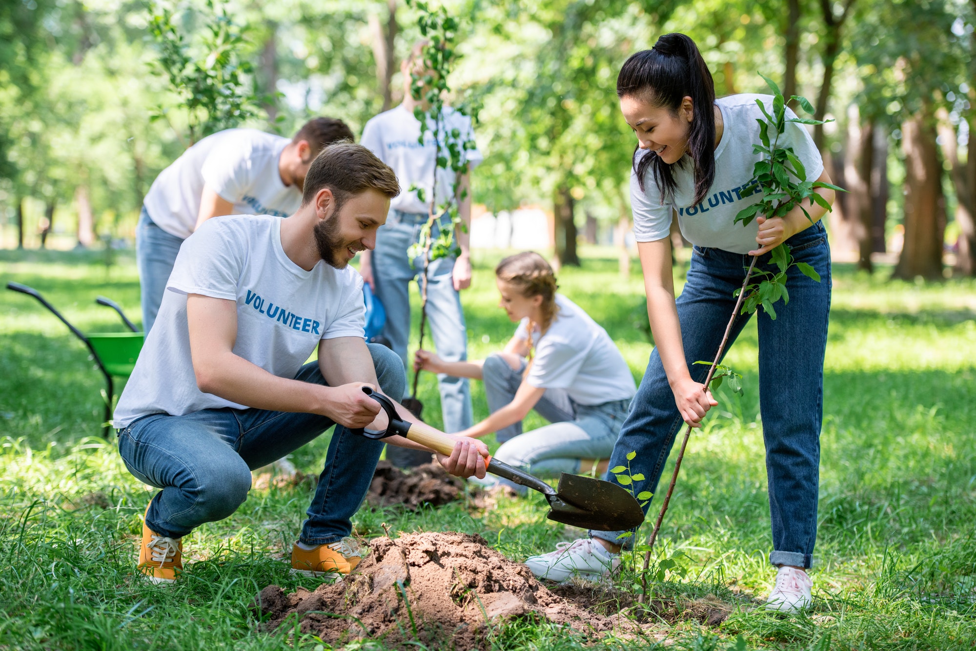 Servicios de Gestión del Ambiente
